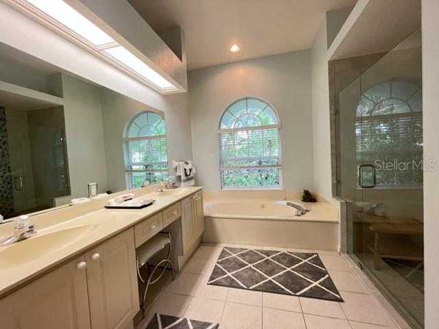 3710 SMOKE HICKORY LN, VALRICO, FL, 33596