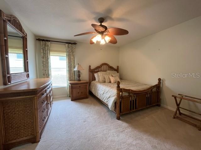 3710 SMOKE HICKORY LN, VALRICO, FL, 33596