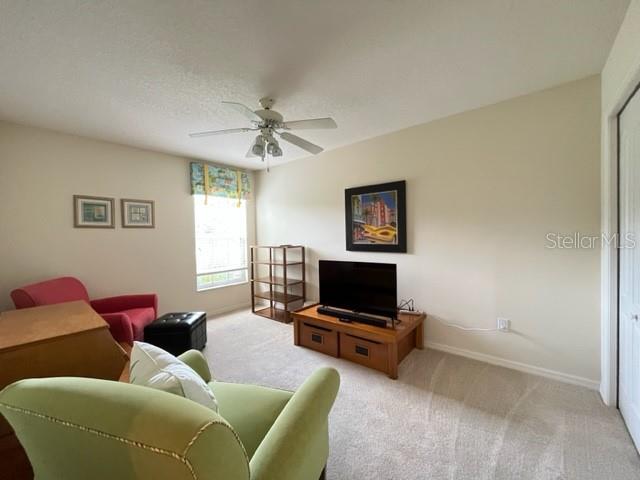 3710 SMOKE HICKORY LN, VALRICO, FL, 33596