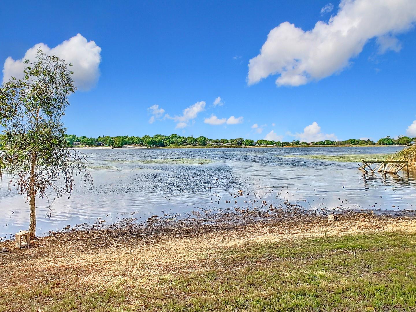 917 SHAWNA SHRS, HAINES CITY, FL, 33844