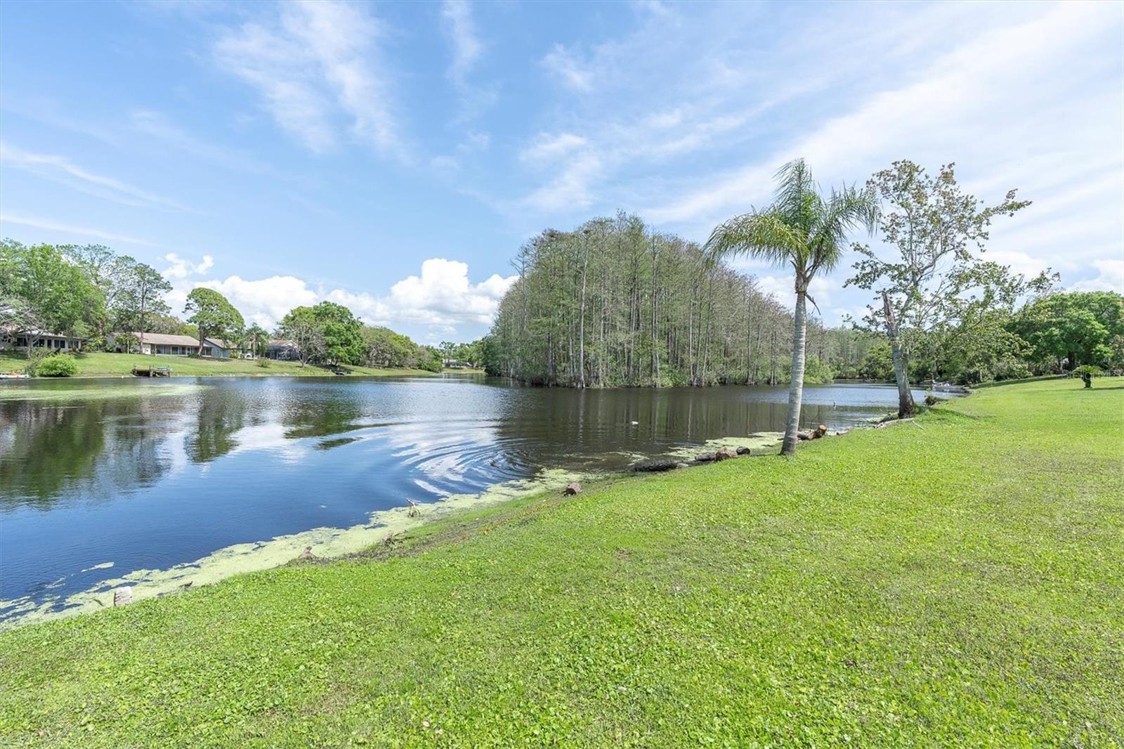 12418 WEATHERSTONE ROW, HUDSON, FL, 34667