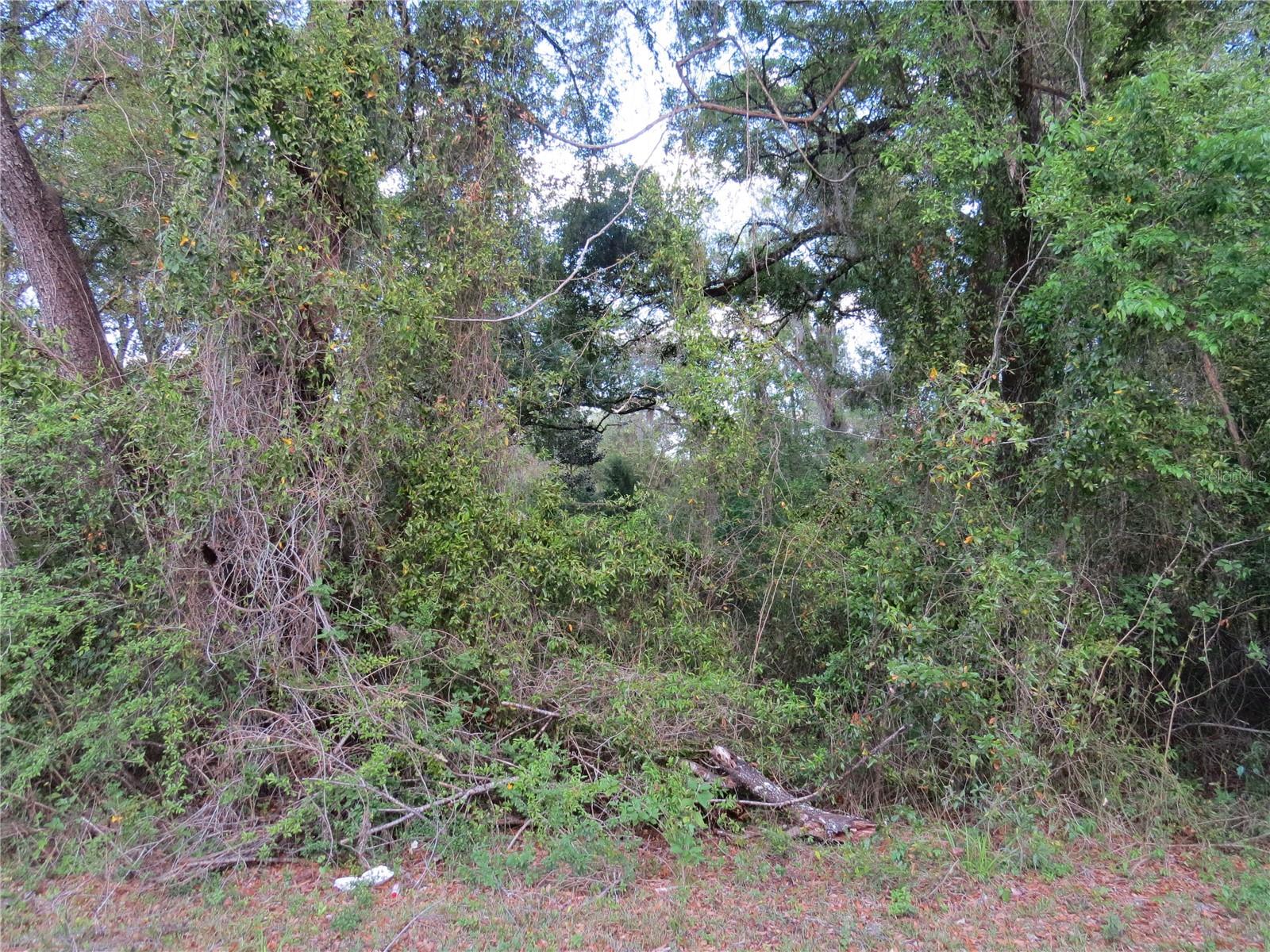28380 FORBES ST, NOBLETON, FL, 34661
