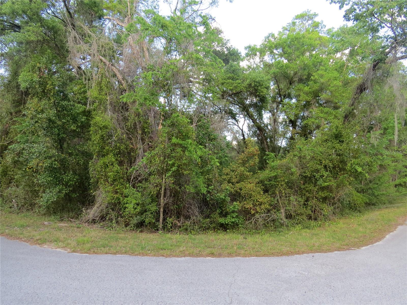 28380 FORBES ST, NOBLETON, FL, 34661
