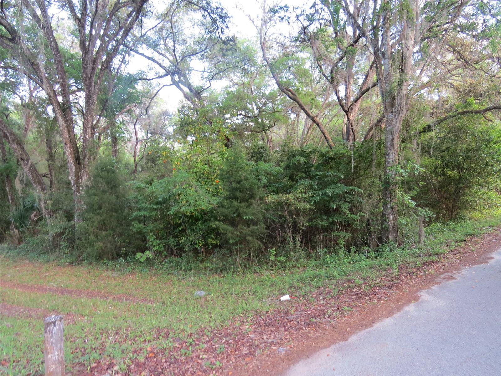 28380 FORBES ST, NOBLETON, FL, 34661