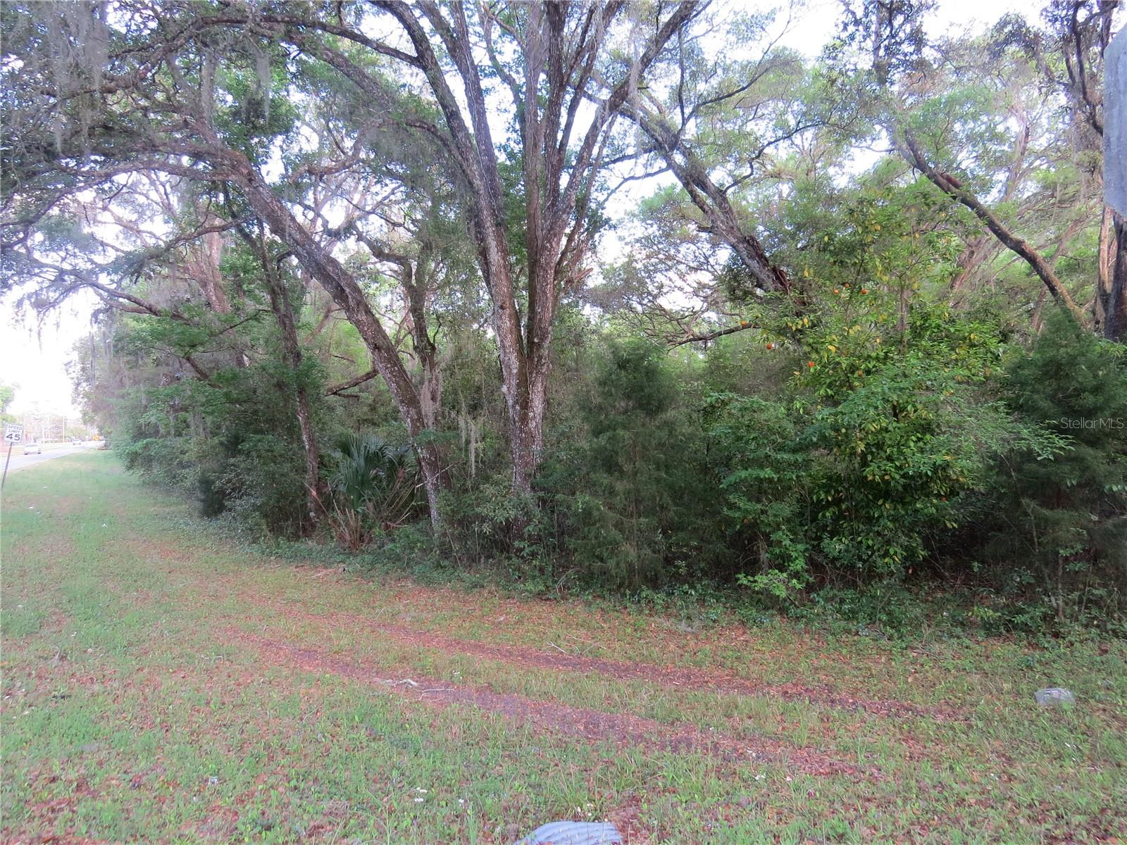 28380 FORBES ST, NOBLETON, FL, 34661
