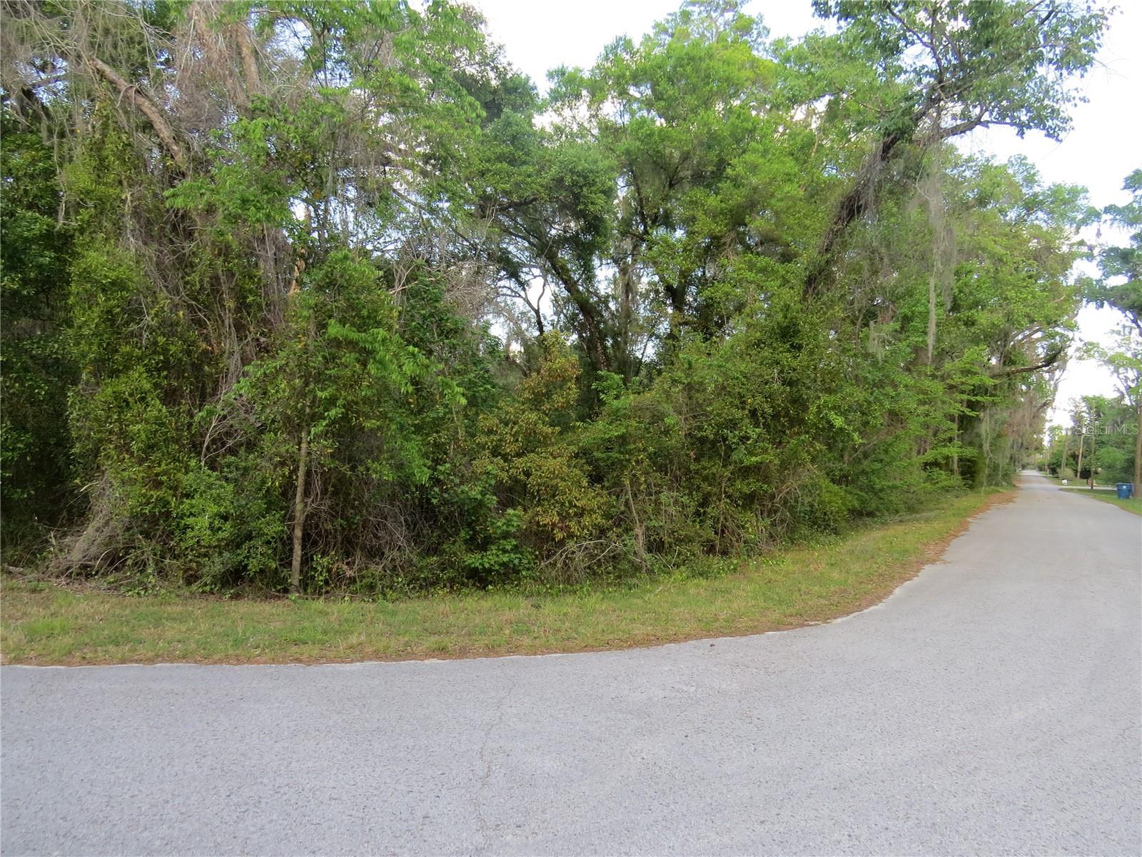 28380 FORBES ST, NOBLETON, FL, 34661