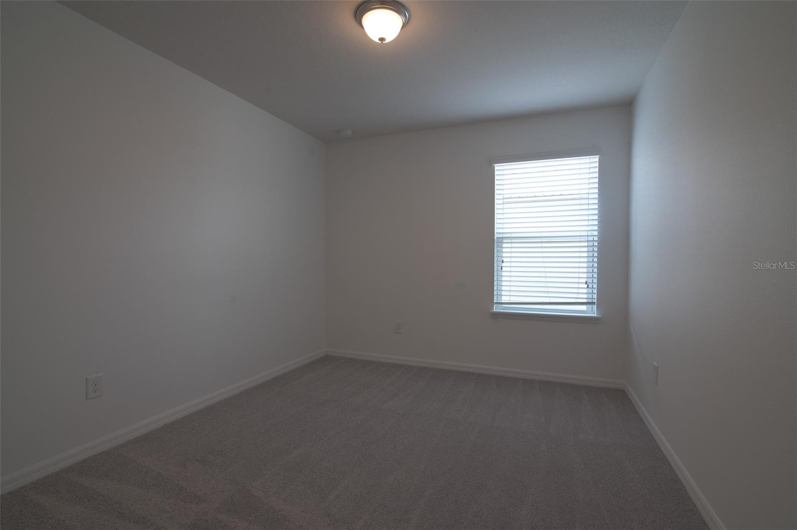 11624 FRINGETREE CT, RIVERVIEW, FL, 33579