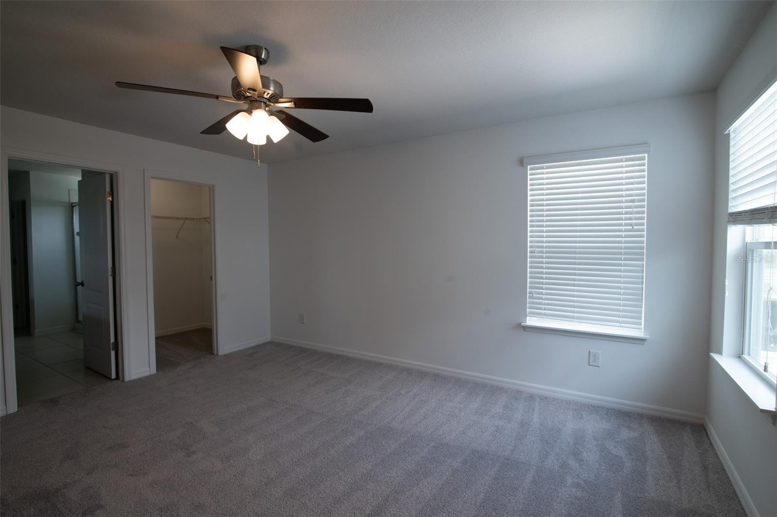 11624 FRINGETREE CT, RIVERVIEW, FL, 33579