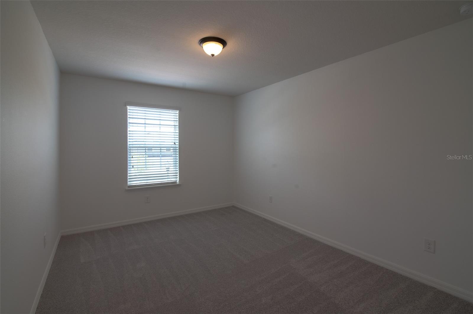 11624 FRINGETREE CT, RIVERVIEW, FL, 33579