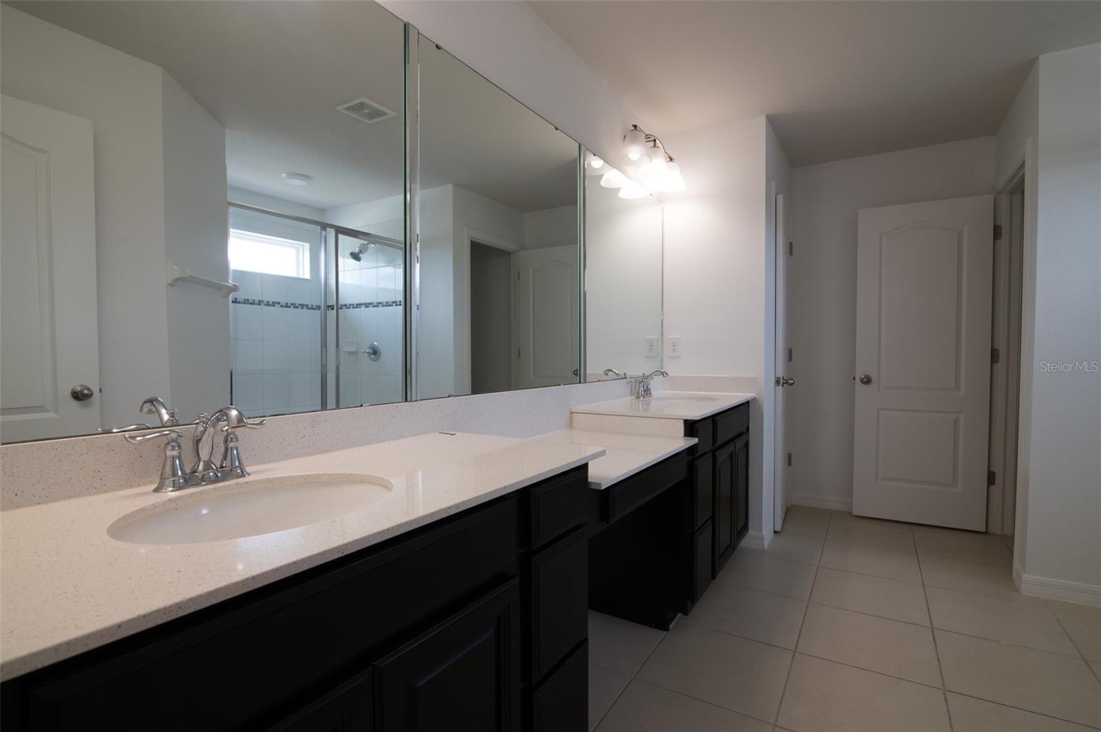 11624 FRINGETREE CT, RIVERVIEW, FL, 33579