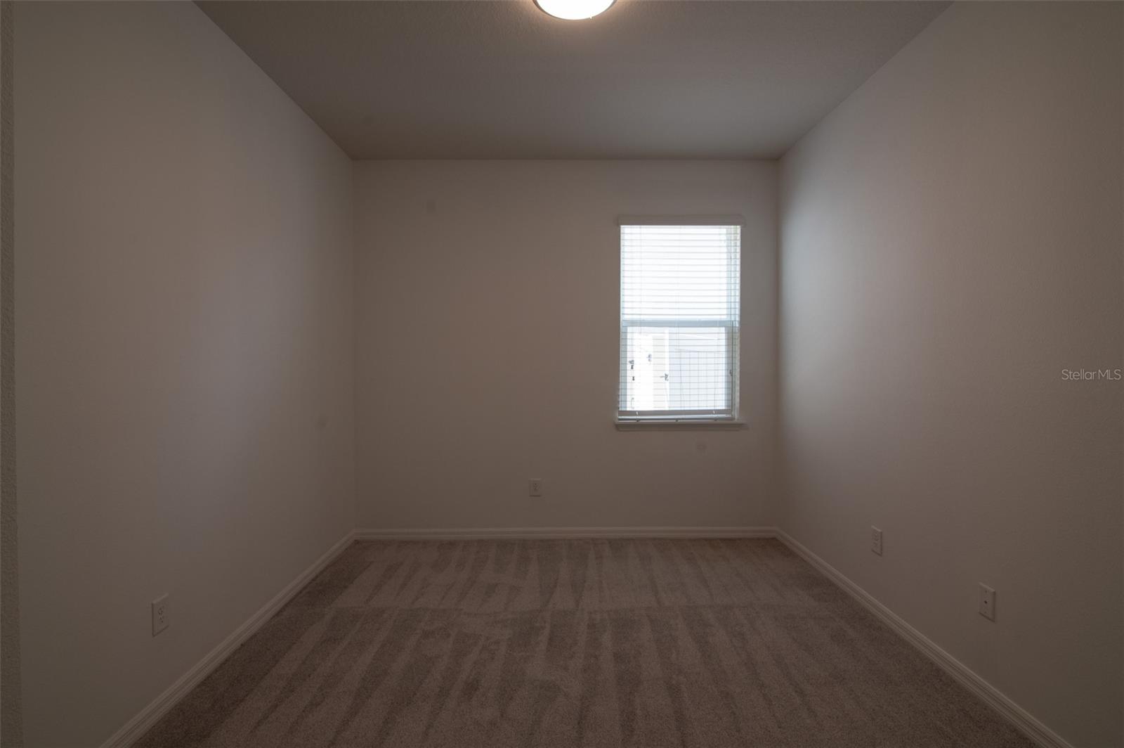 11624 FRINGETREE CT, RIVERVIEW, FL, 33579