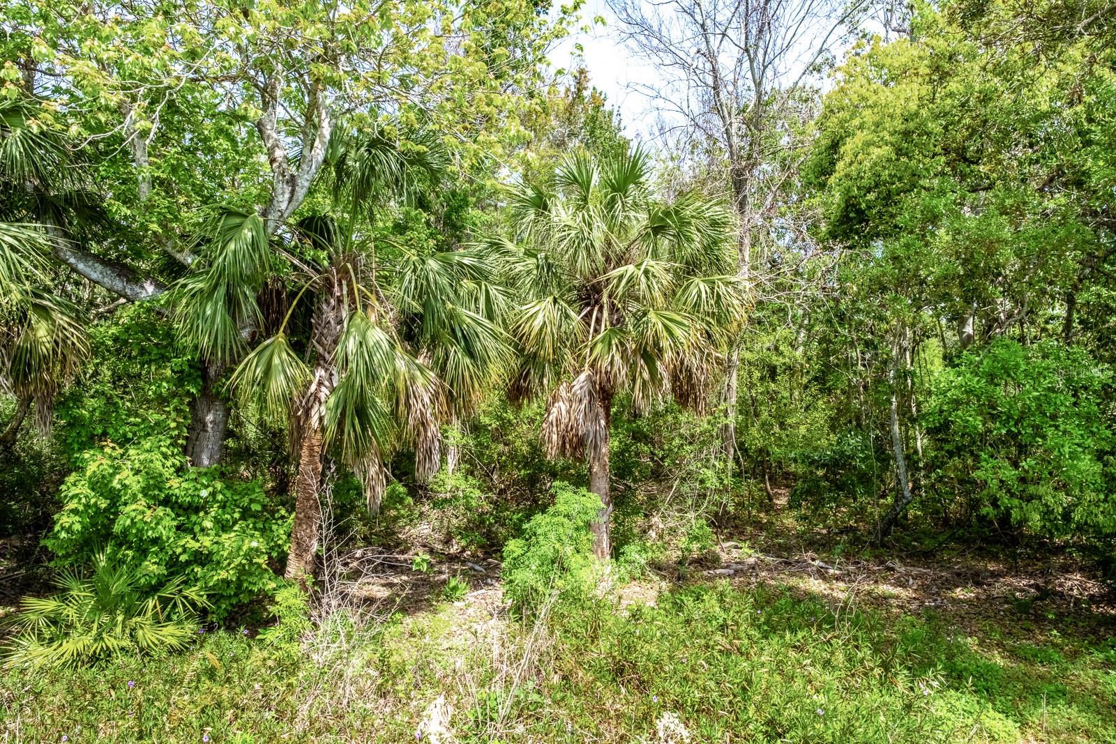 2845 PUNTA PALMA CT, HOLIDAY, FL, 34691