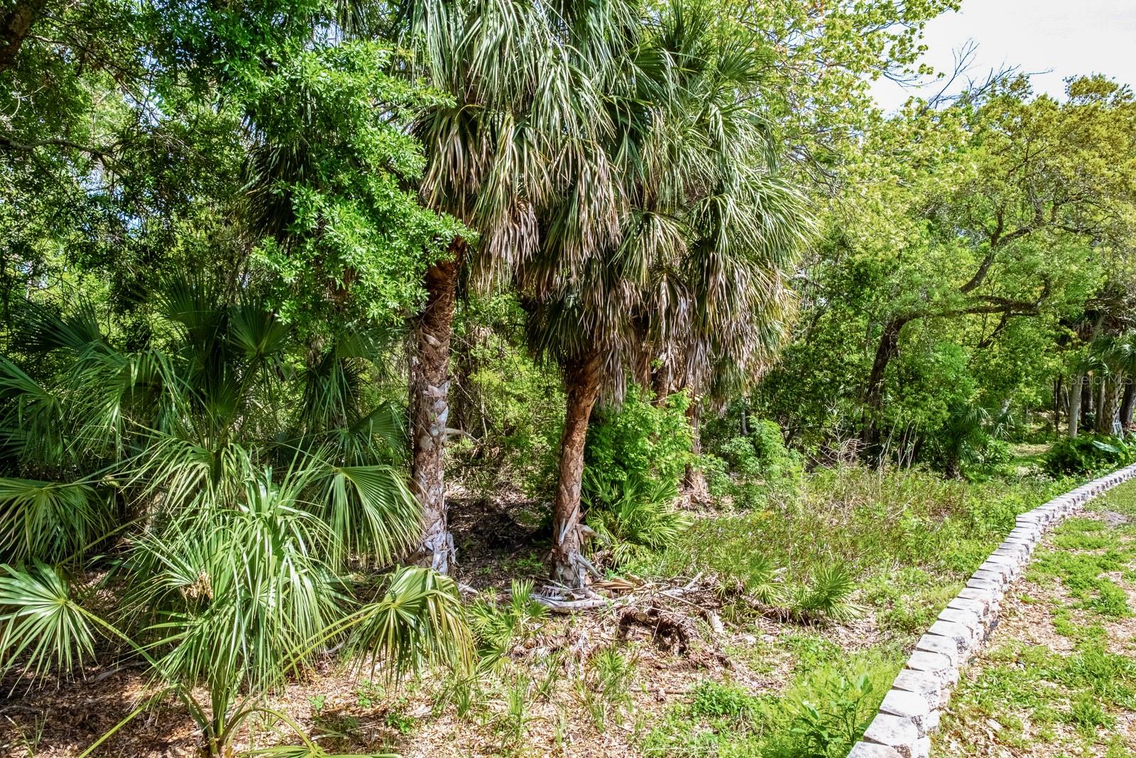 2845 PUNTA PALMA CT, HOLIDAY, FL, 34691