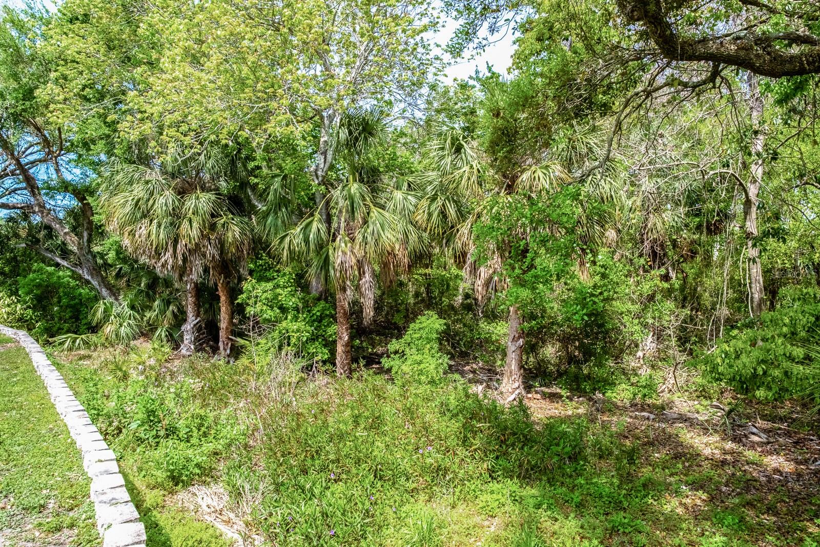 2845 PUNTA PALMA CT, HOLIDAY, FL, 34691