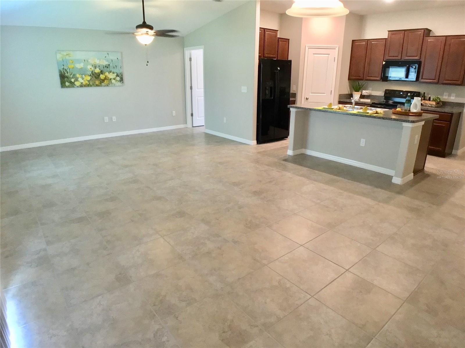 12204 MIRACLE MILE DR, RIVERVIEW, FL, 33578