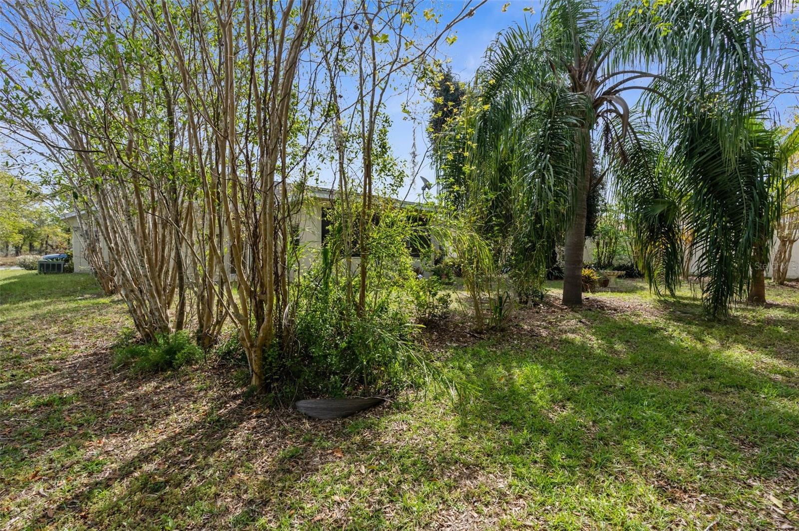 3017 MAGELLAN AVE, SPRING HILL, FL, 34608