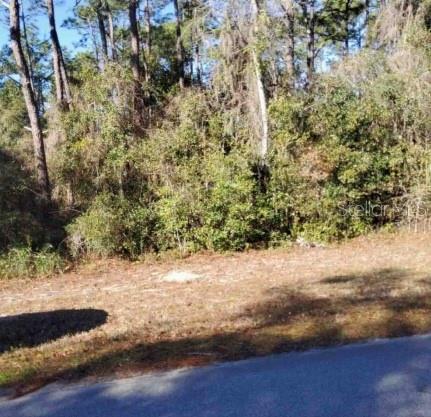 Lot 138 SE 168TH TER, OCKLAWAHA, FL, 32179