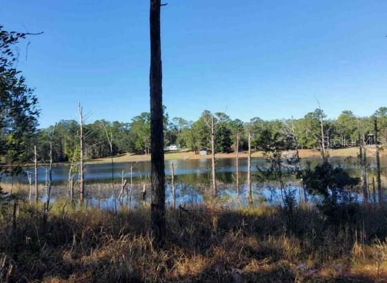 Lot 138 SE 168TH TER, OCKLAWAHA, FL, 32179