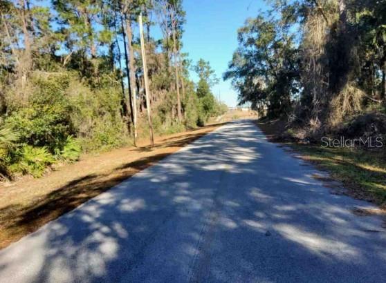 Lot 138 SE 168TH TER, OCKLAWAHA, FL, 32179