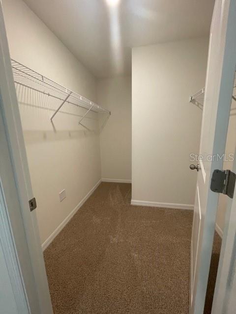 10231 OPALINE SKY CT, RIVERVIEW, FL, 33578