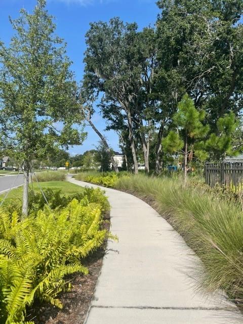 10231 OPALINE SKY CT, RIVERVIEW, FL, 33578