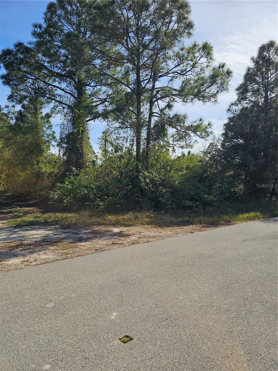 905 WABASSO PL, LEHIGH ACRES, FL, 33974