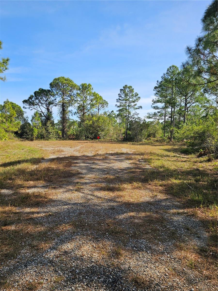 905 WABASSO PL, LEHIGH ACRES, FL, 33974