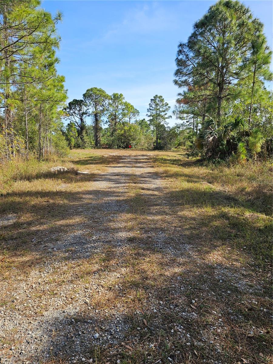 905 WABASSO PL, LEHIGH ACRES, FL, 33974