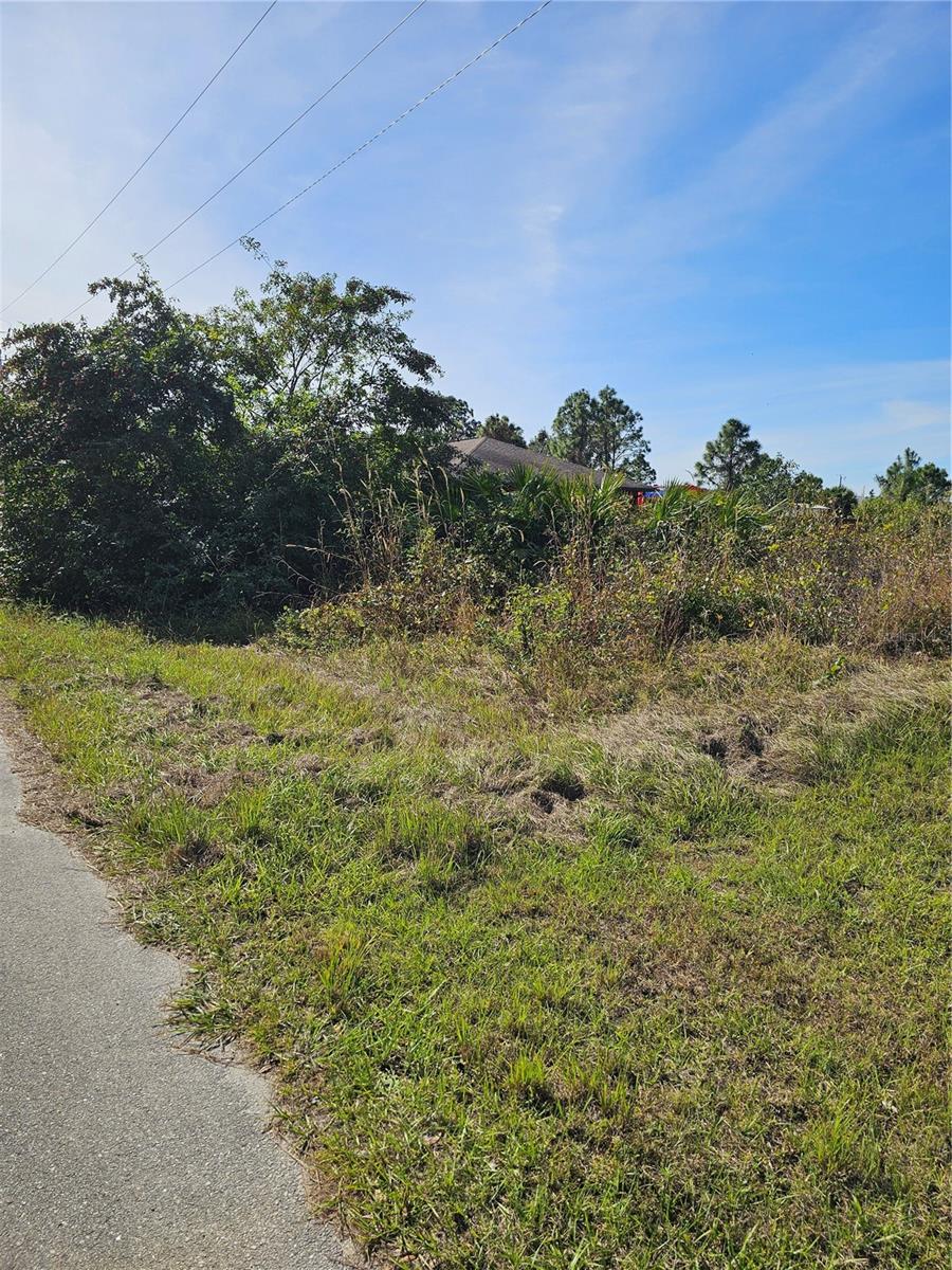 905 WABASSO PL, LEHIGH ACRES, FL, 33974