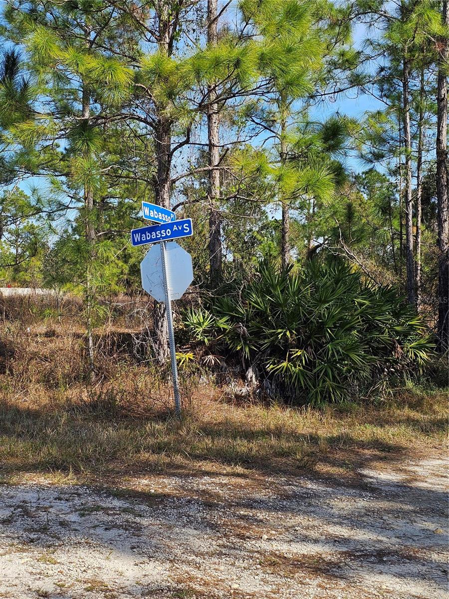 905 WABASSO PL, LEHIGH ACRES, FL, 33974