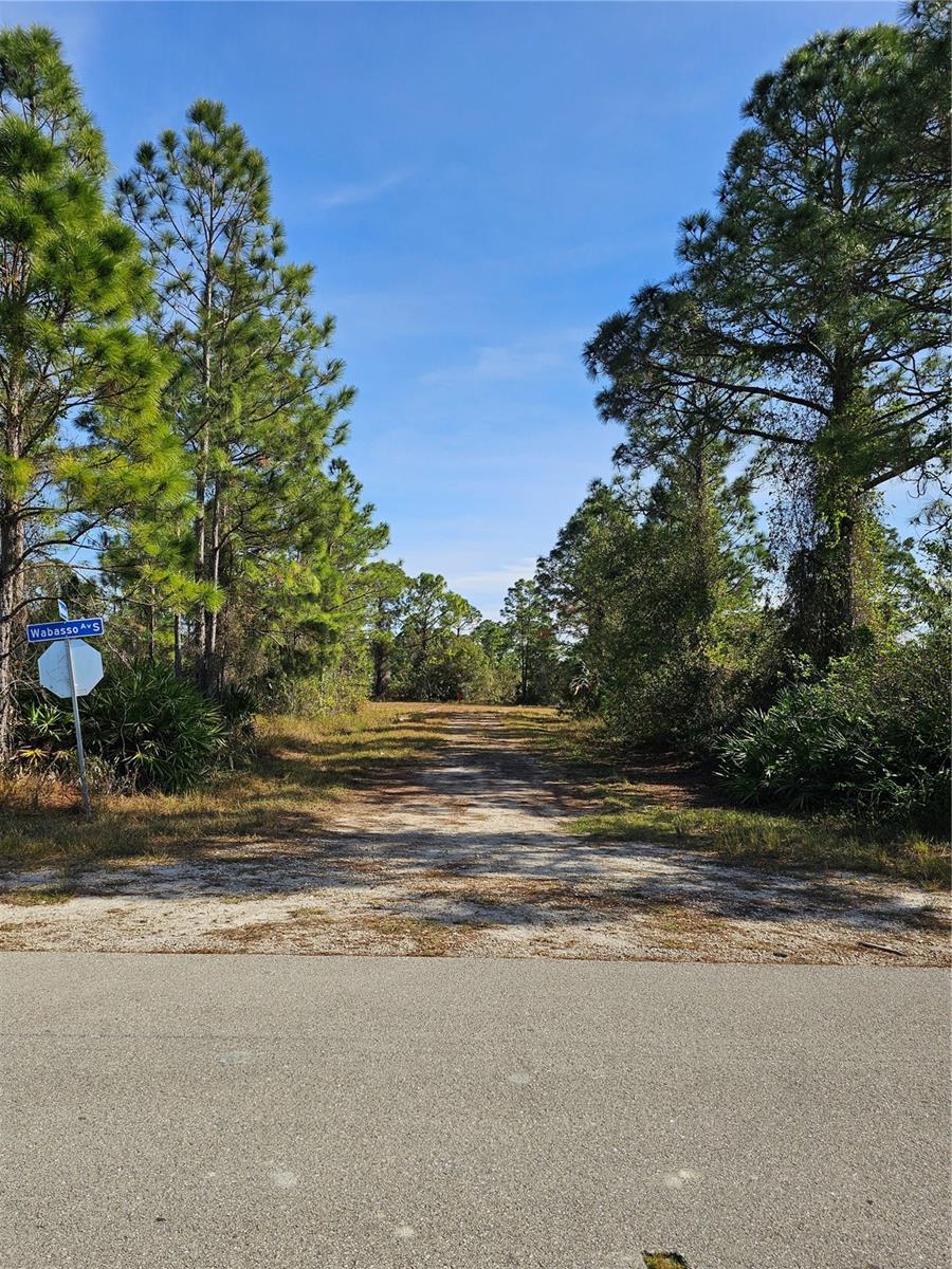 905 WABASSO PL, LEHIGH ACRES, FL, 33974