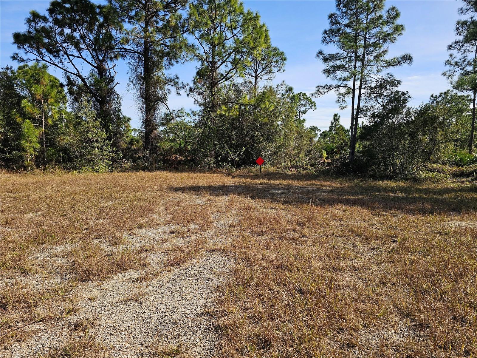 905 WABASSO PL, LEHIGH ACRES, FL, 33974