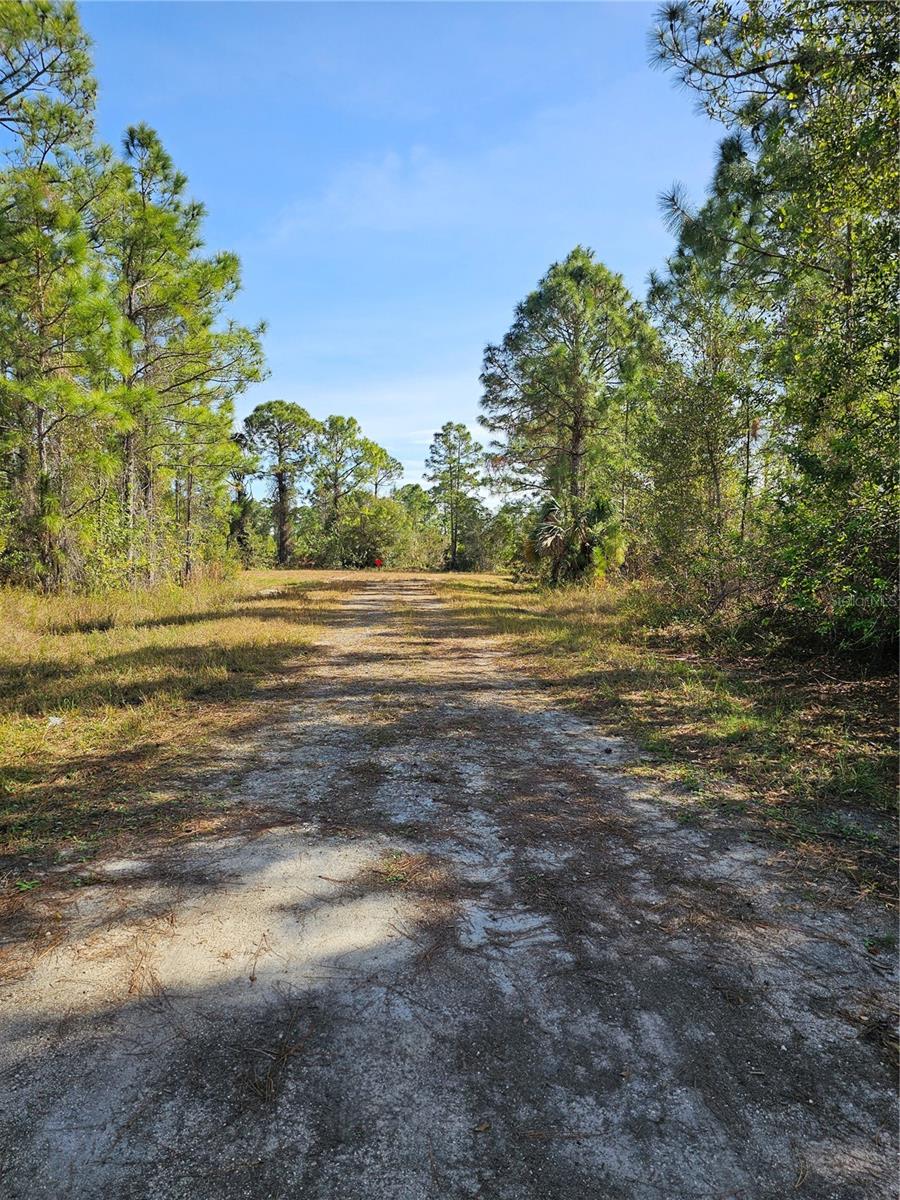 905 WABASSO PL, LEHIGH ACRES, FL, 33974