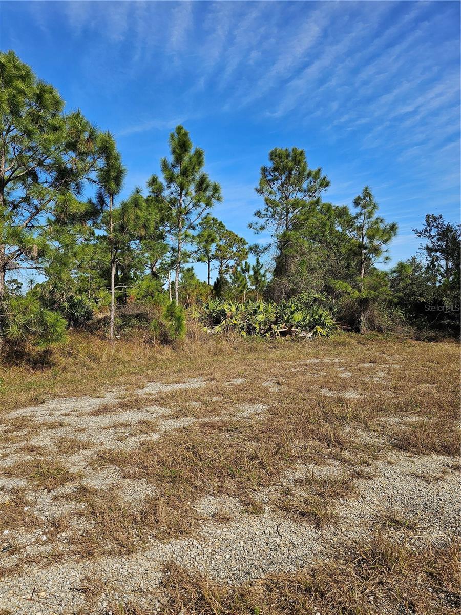 905 WABASSO PL, LEHIGH ACRES, FL, 33974
