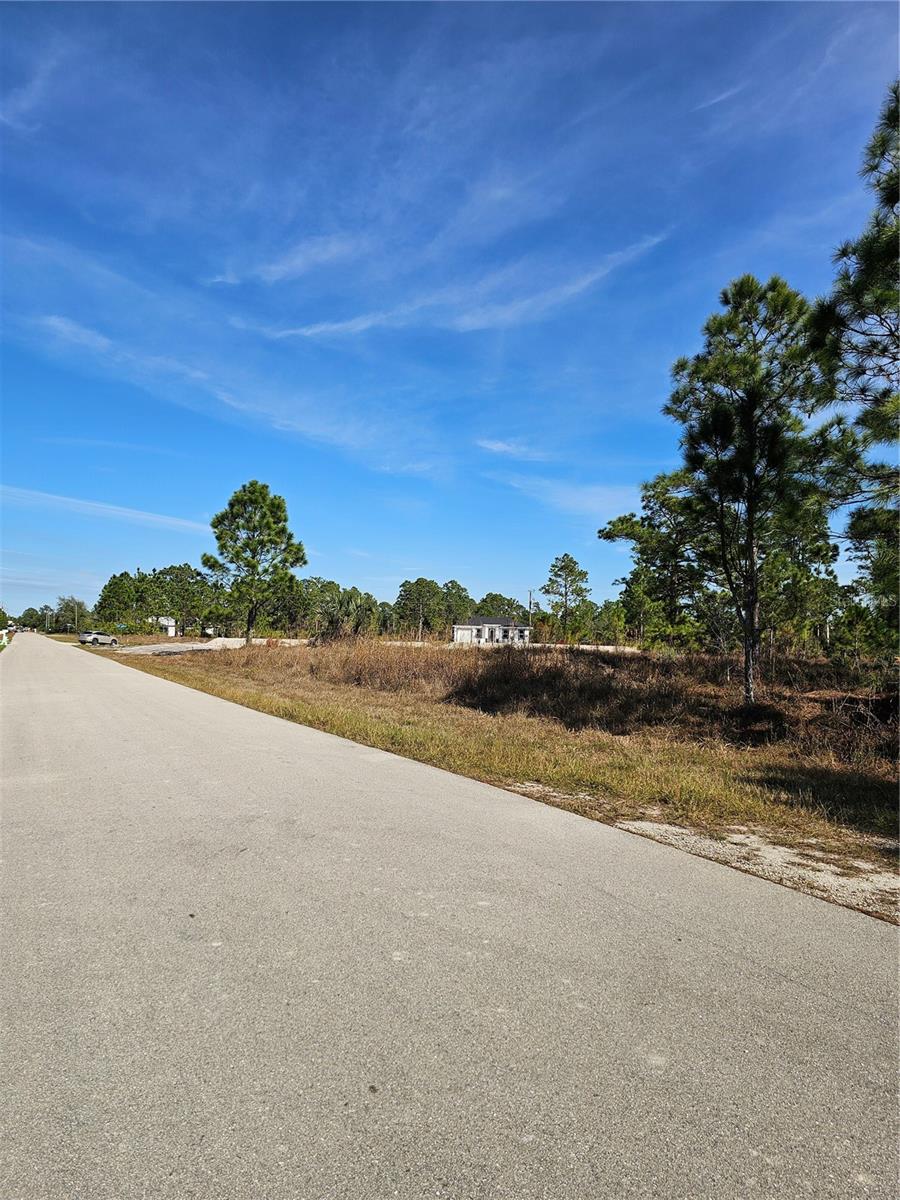 905 WABASSO PL, LEHIGH ACRES, FL, 33974