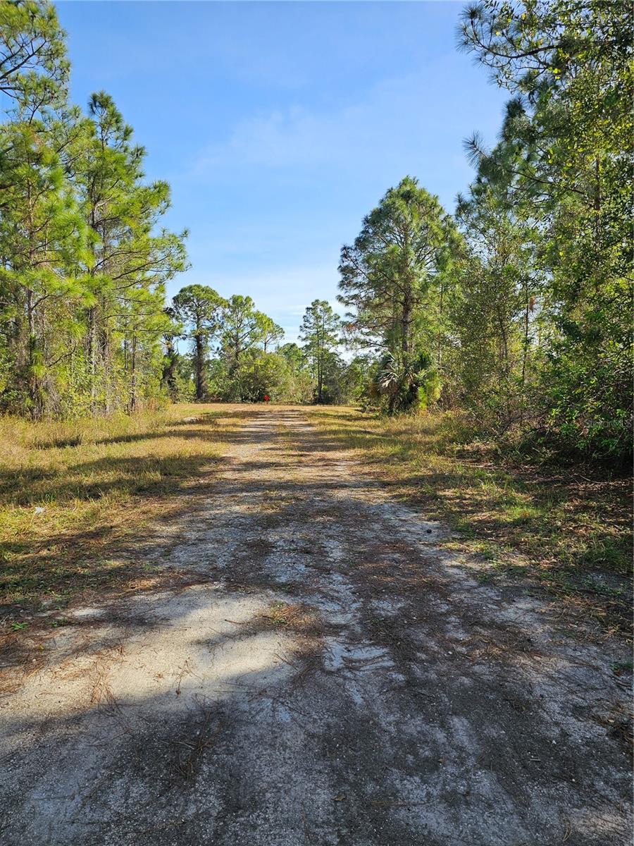 905 WABASSO PL, LEHIGH ACRES, FL, 33974