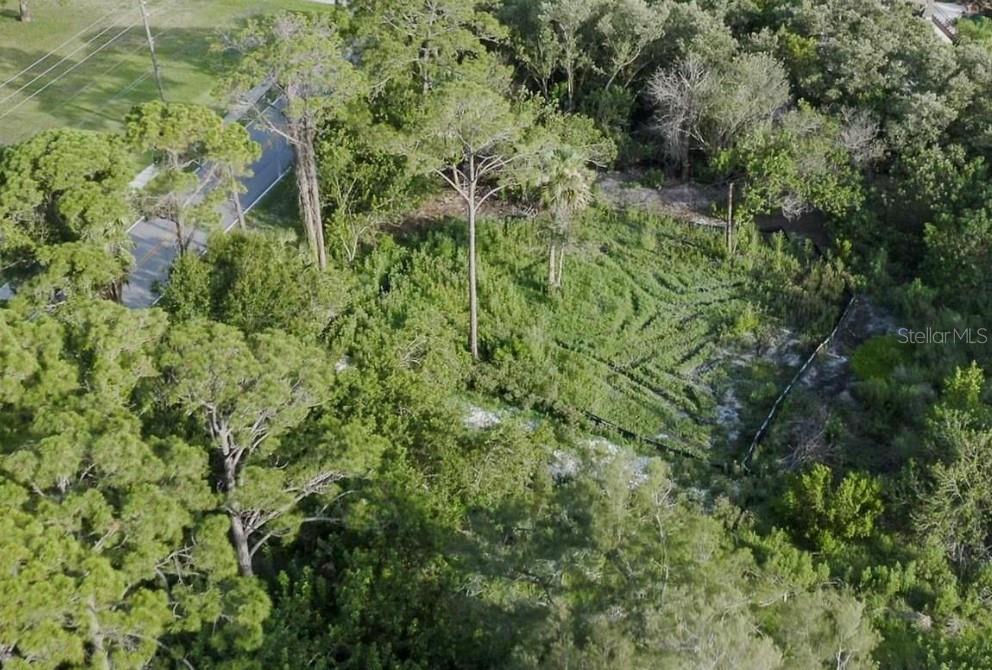 FLORIDA AVE, TARPON SPRINGS, FL, 34689