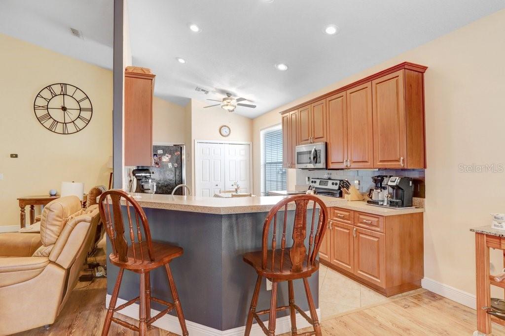 37438 PICKETTS MILL AVE, ZEPHYRHILLS, FL, 33542