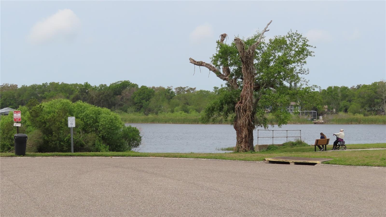 2221 NORWEGIAN DR #43, CLEARWATER, FL, 33763