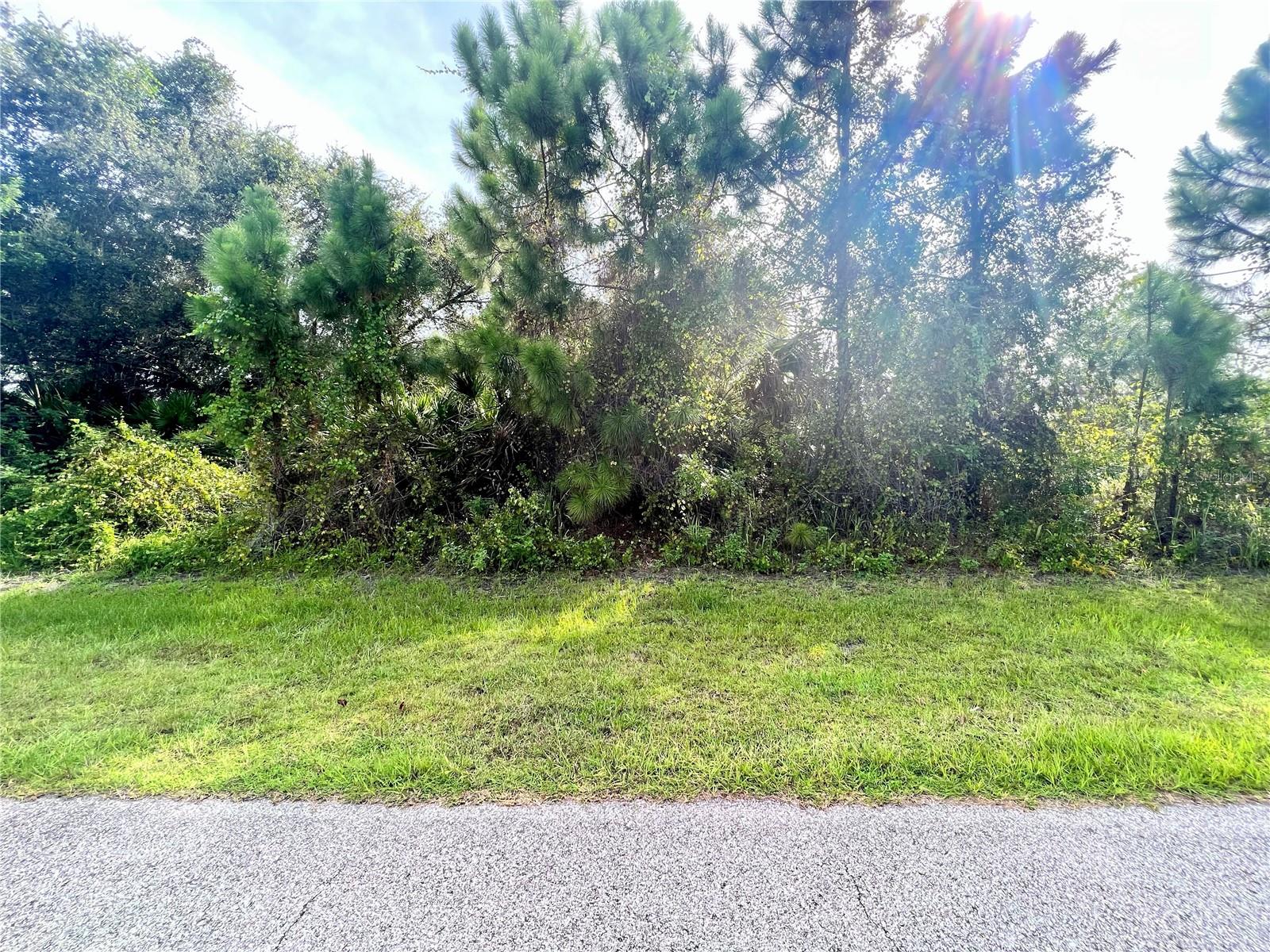 NAPOLEON RD, NORTH PORT, FL, 34288