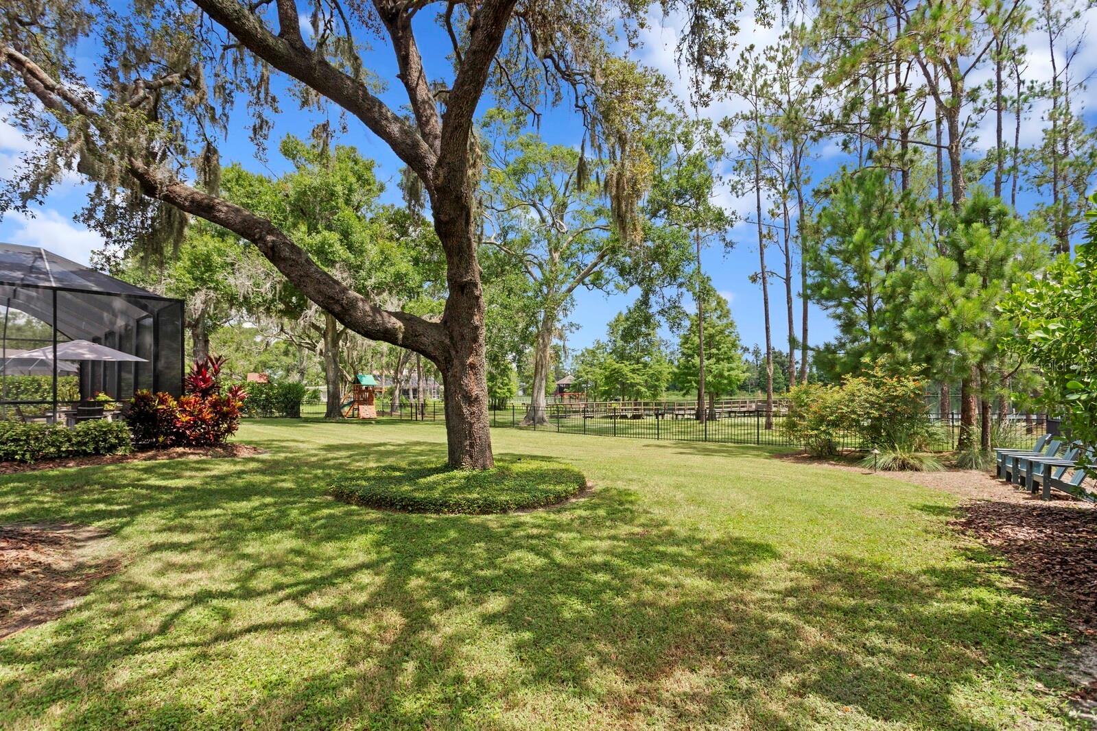 16119 CARENCIA LN, ODESSA, FL, 33556