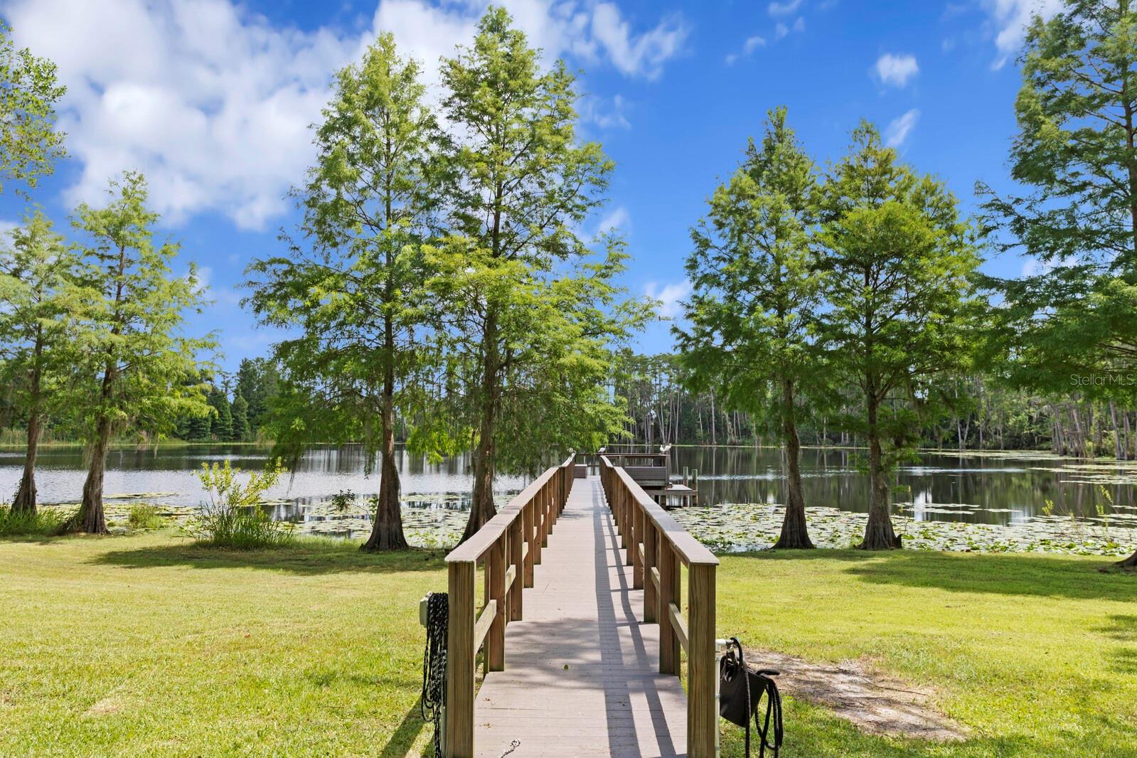 16119 CARENCIA LN, ODESSA, FL, 33556