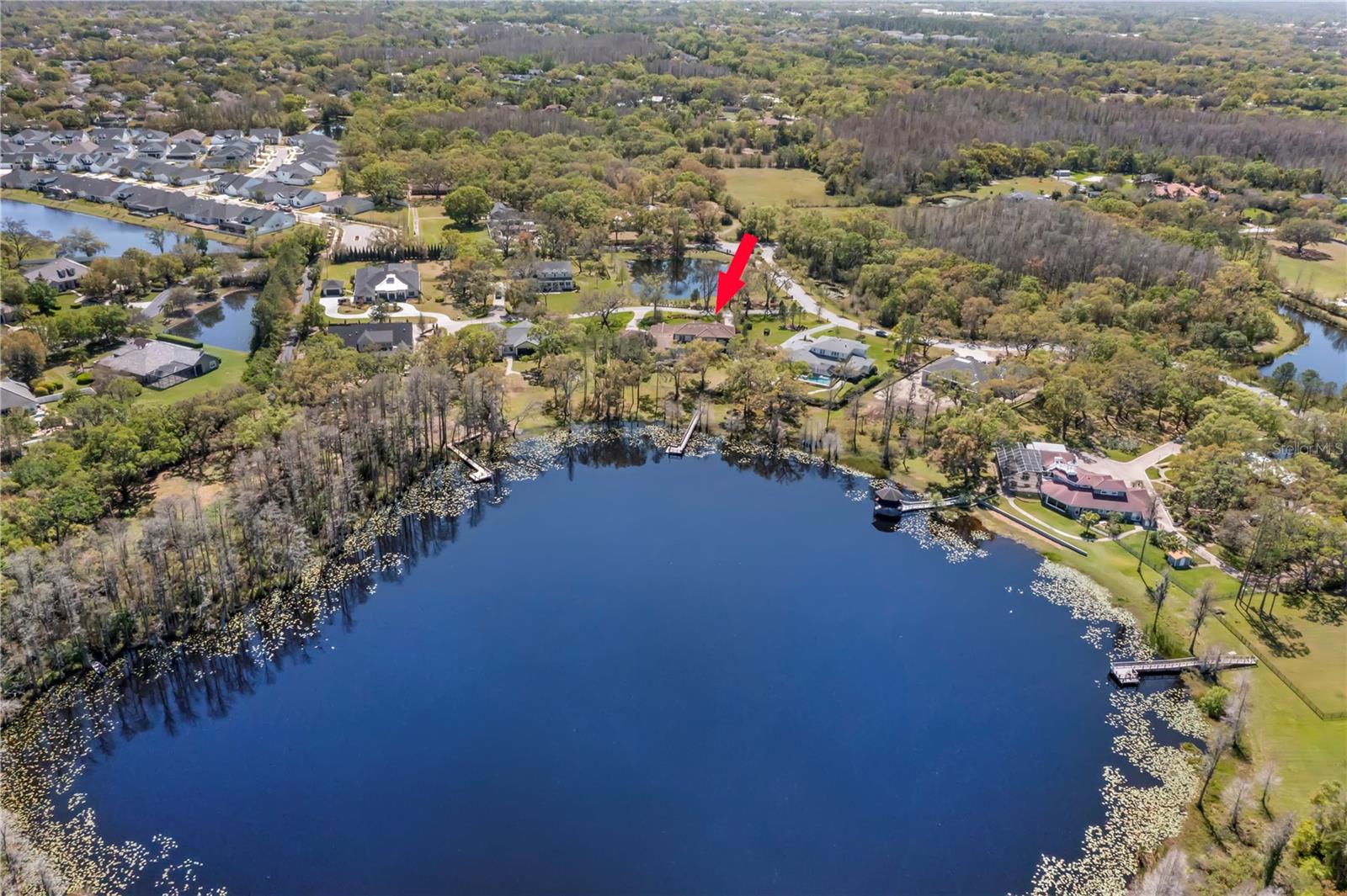 16119 CARENCIA LN, ODESSA, FL, 33556