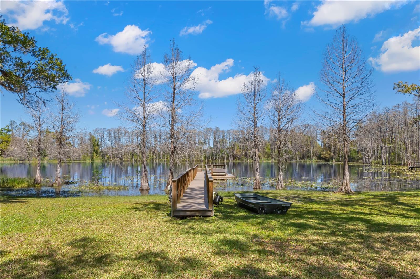 16119 CARENCIA LN, ODESSA, FL, 33556