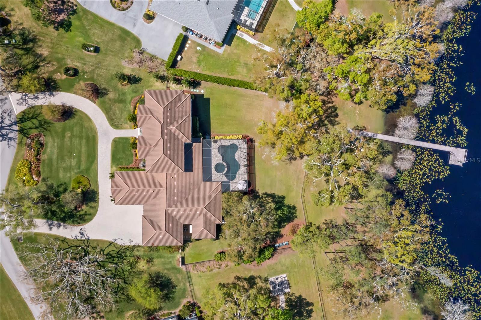 16119 CARENCIA LN, ODESSA, FL, 33556
