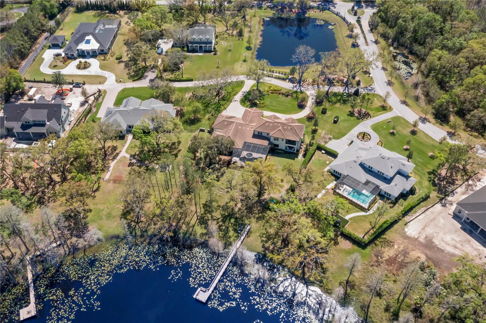 16119 CARENCIA LN, ODESSA, FL, 33556