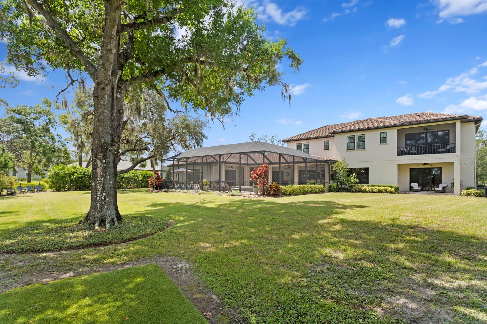 16119 CARENCIA LN, ODESSA, FL, 33556