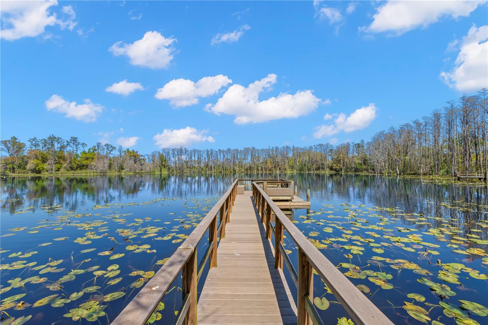 16119 CARENCIA LN, ODESSA, FL, 33556