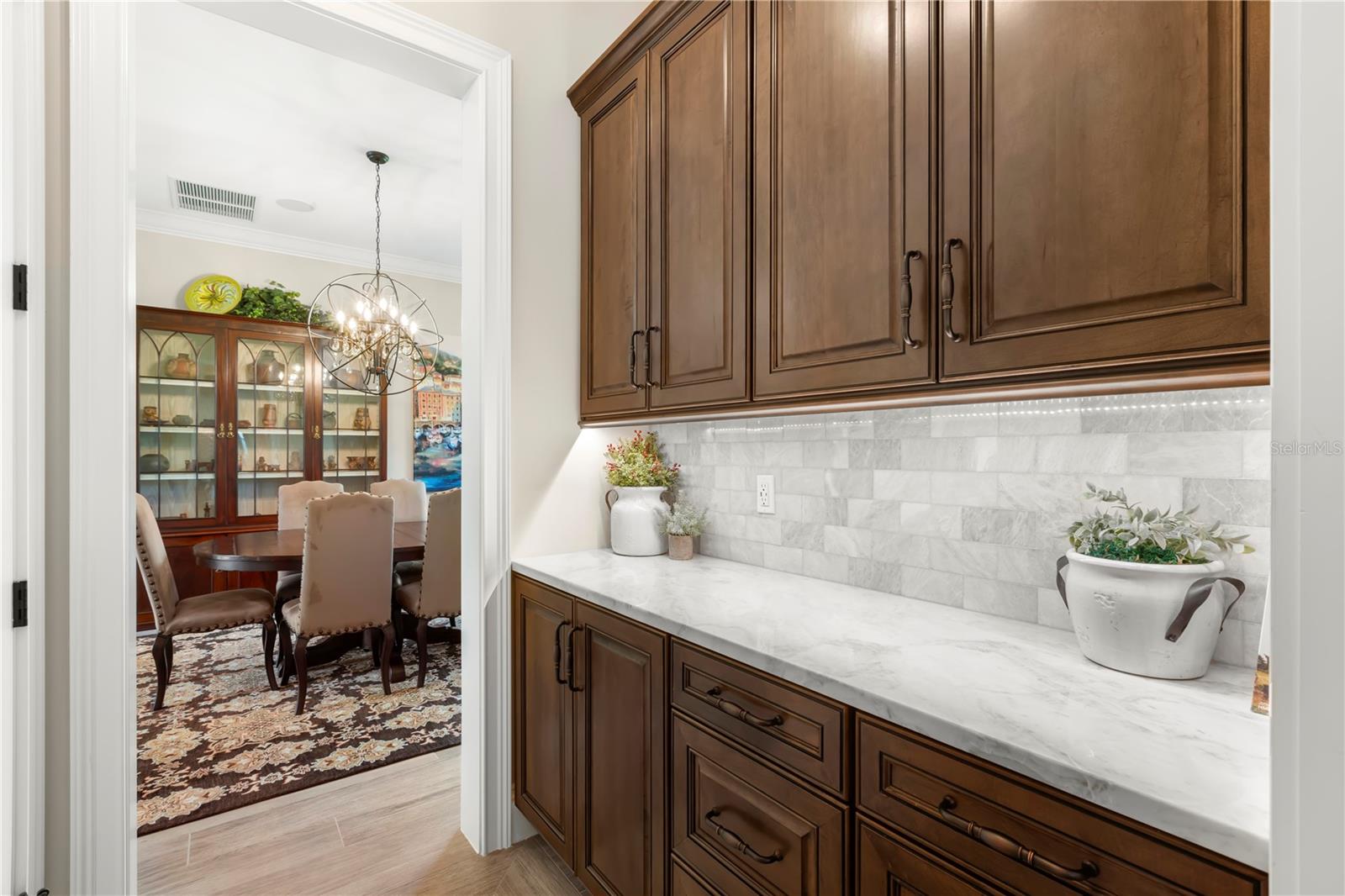 16119 CARENCIA LN, ODESSA, FL, 33556