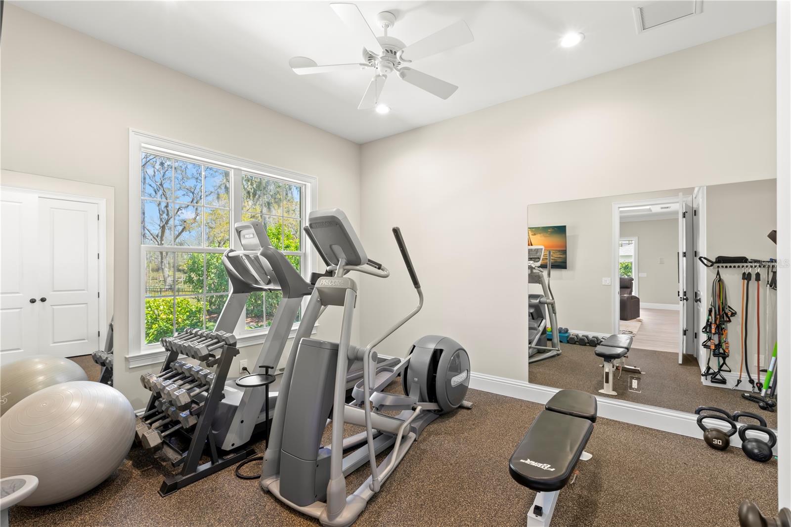 16119 CARENCIA LN, ODESSA, FL, 33556